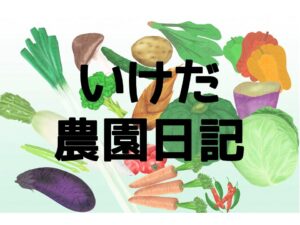 農園日記５～たまねぎの収穫～